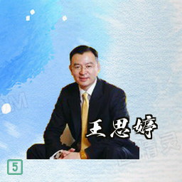 王思婷